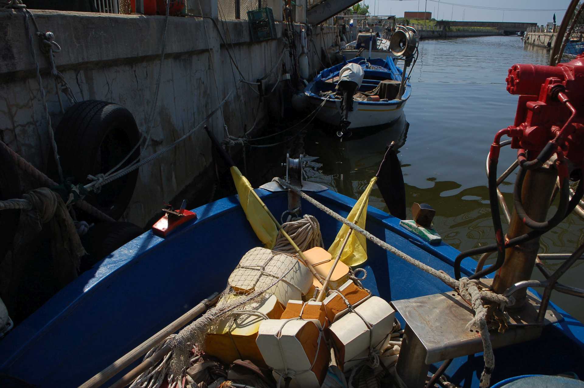 Obiettivo Ostia: il territorio visto con altri Occhi, Giulia Pisani